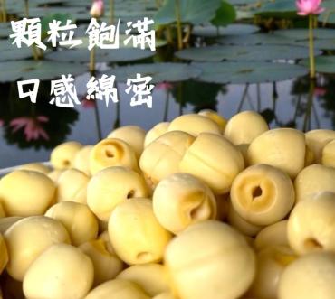 新鮮蓮子去芯不苦 台灣蓮子 600g 純素