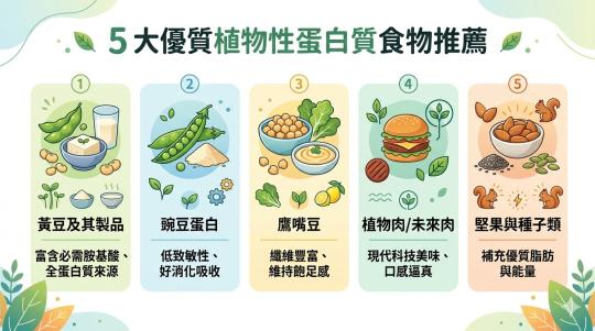 【植物性蛋白全攻略】蔬食者如何補足蛋白質？5 大優質來源、減脂好處與網購推薦